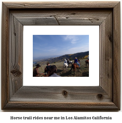 horse trail rides near me in Los Alamitos, California